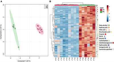 Impact of 30 years precipitation regime differences on forest soil physiology and microbial assemblages